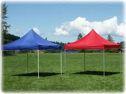 Canopy