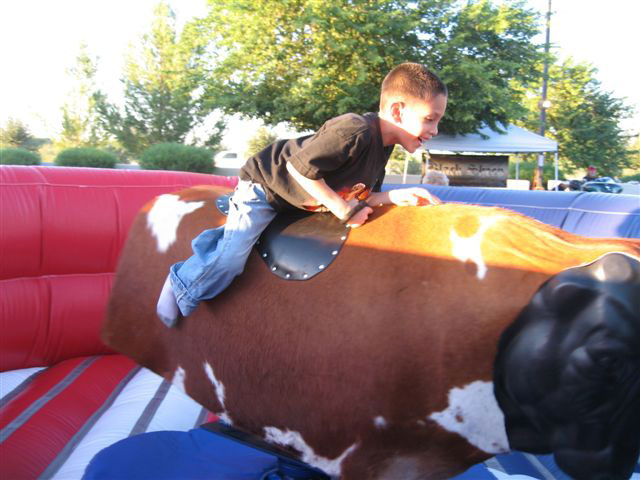 Mechanical Bull