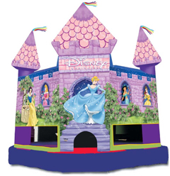 Enchanted Disney Princess