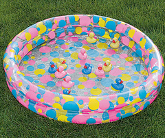 Duck Pond