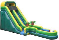Jungle Slide