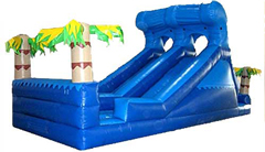 Surf's Up! Slide